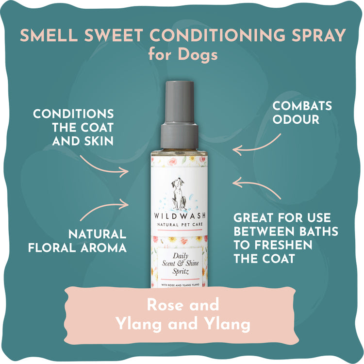 Smell Sweet & Smell Fresh Conditioning Sprays Bundle