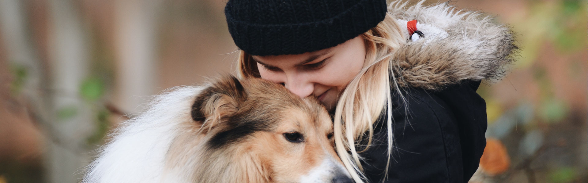 collection-banner-image