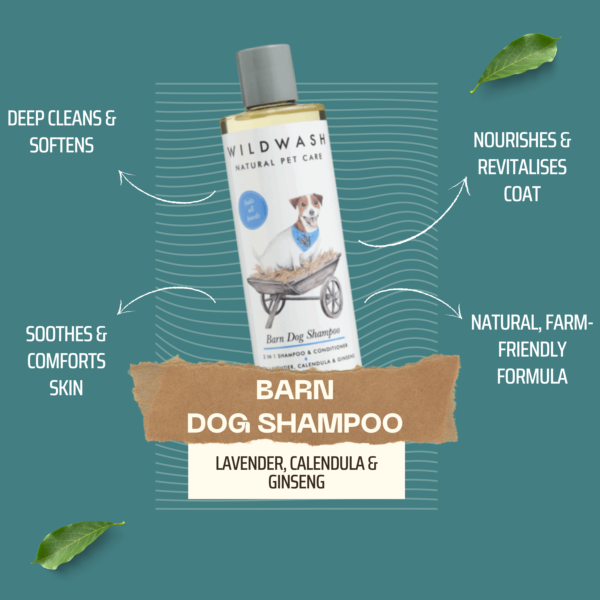 WildWash Barn Dog Shampoo – 2-in-1 Natural Shampoo & Conditioner 250ml