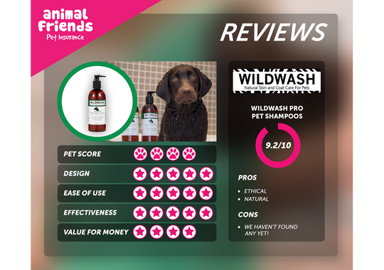 How is WildWash Different from other Pet Shampoos?